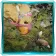 Expert Ex-kweh-vator