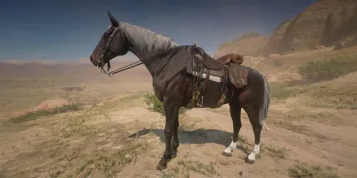 راهنمای گرفتن اسب جنگی در Red Dead Redemption 1