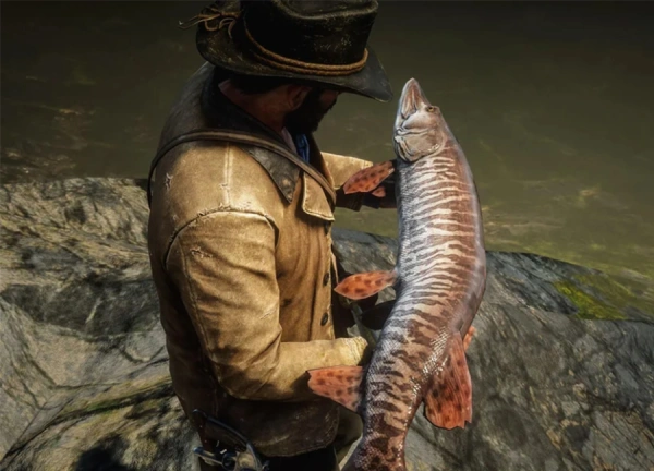 راهنمای تمام محل‌های ماهی‌های افسانه‌ای در Red Dead Redemption 2