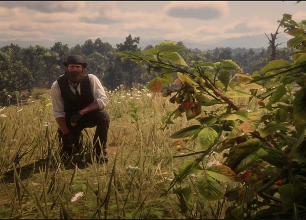 راهنمای پیدا کردن محل تمام گیاهان در بازی Red Dead Redemption 2