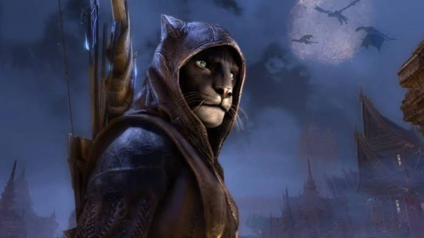 همه چیز درمورد خاجیت‌ها (Khajiit)