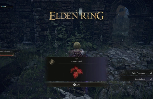 موقعیت Arteria Leaf در Elden Ring