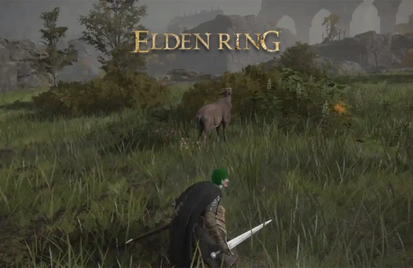 محل Beast Liver در Elden Ring