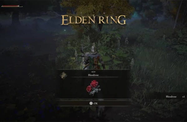 موقعیت Bloodrose در Elden Ring