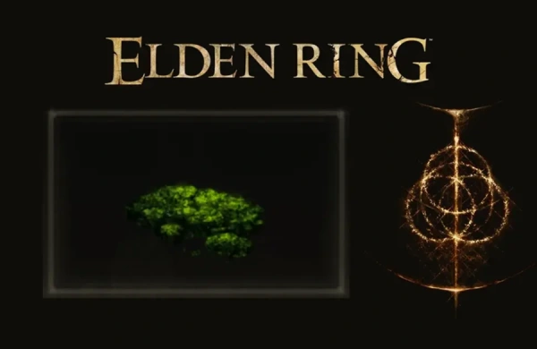 محل Cave Moss در Elden Ring