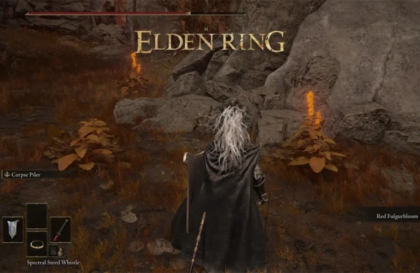 موقعیت Fulgurbloom در Elden Ring