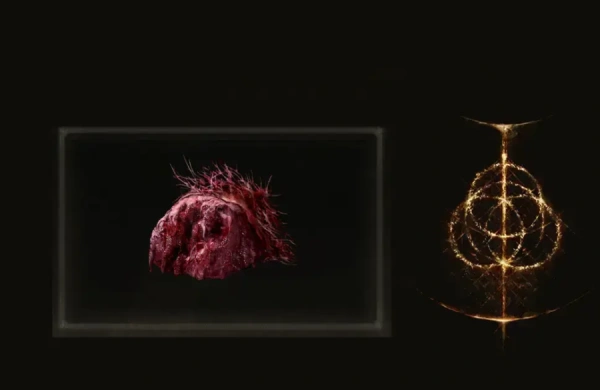 محل Lump of Flesh در Elden Ring