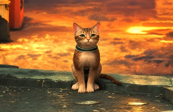 لوکیشن Collectibleهای Chapter 2 بازی Stray