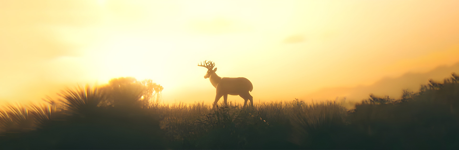 راهنمای جامع پیدا کردن تمام حیوانات در Red Dead Redemption 2