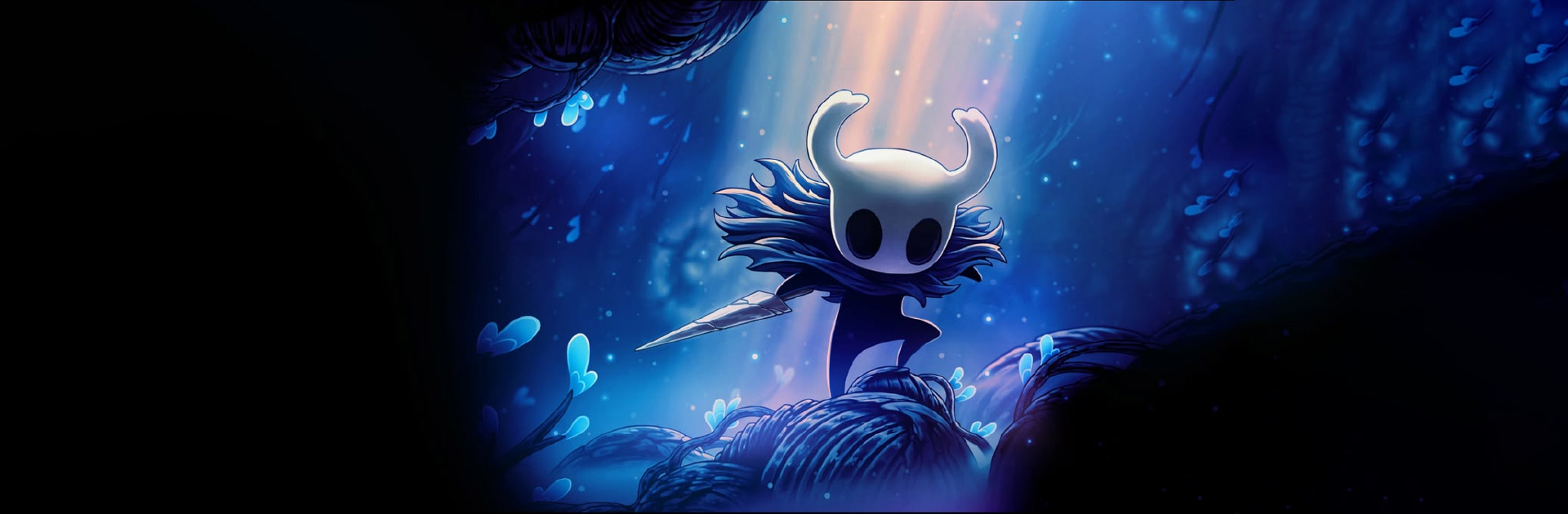 معرفی شخصیت Hallow Knight
