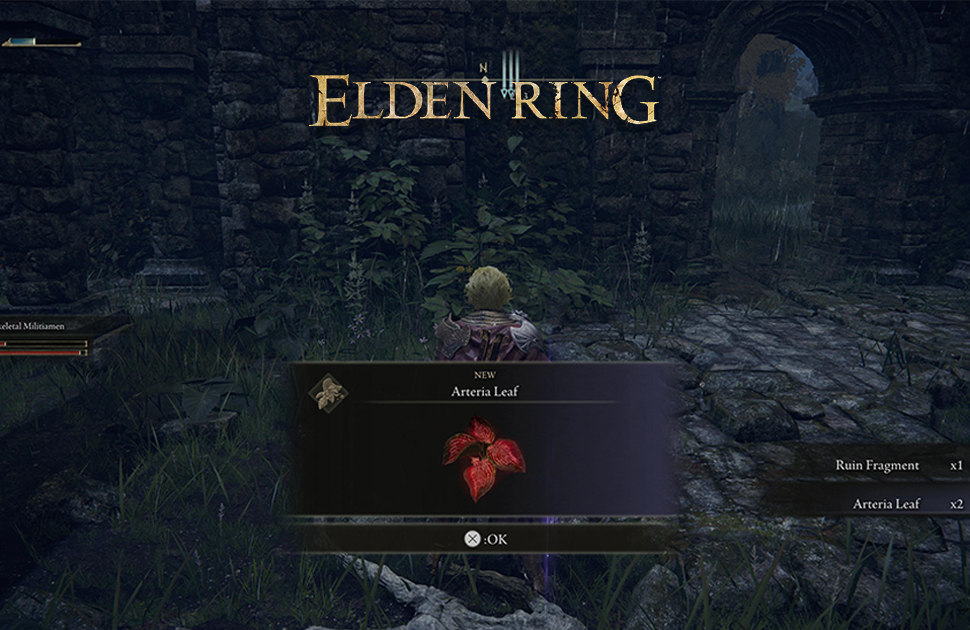موقعیت Arteria Leaf در Elden Ring
