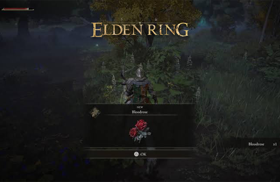 موقعیت Bloodrose در Elden Ring