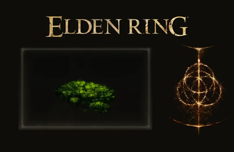 محل Cave Moss در Elden Ring