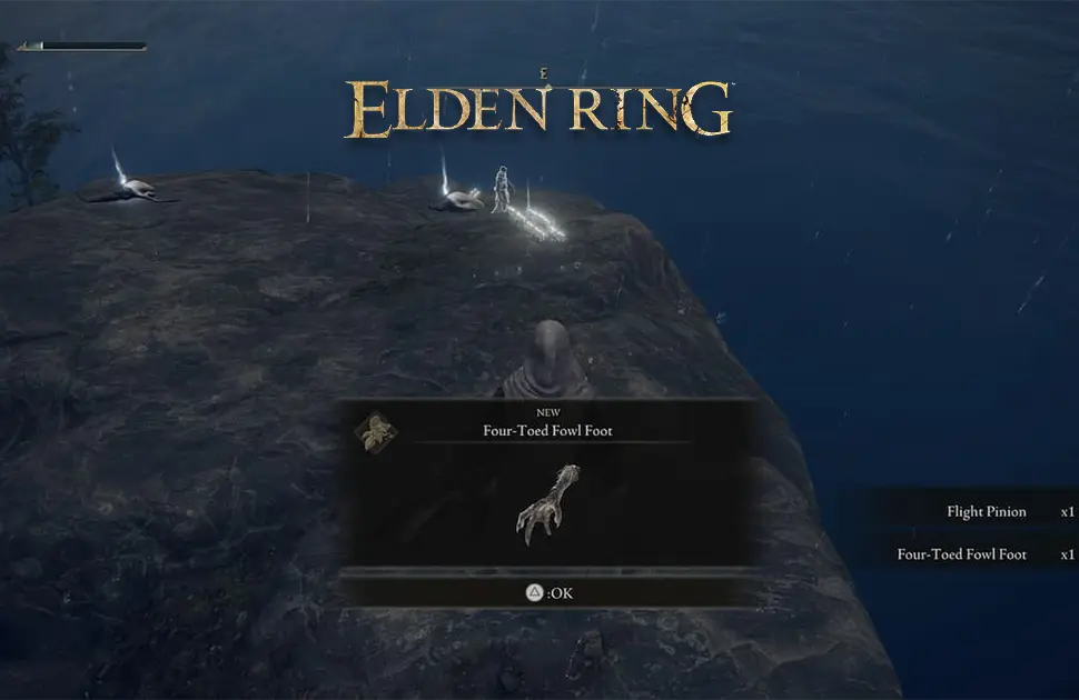 محل Four-Toed Foul Foot در Elden Ring