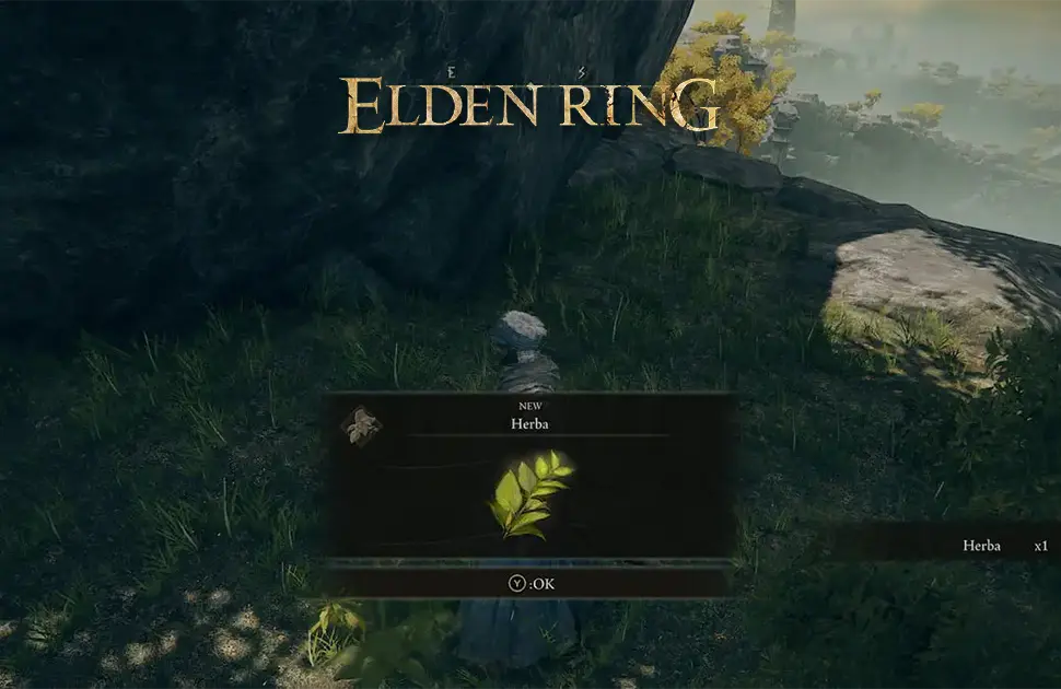 محل Herba در Elden Ring