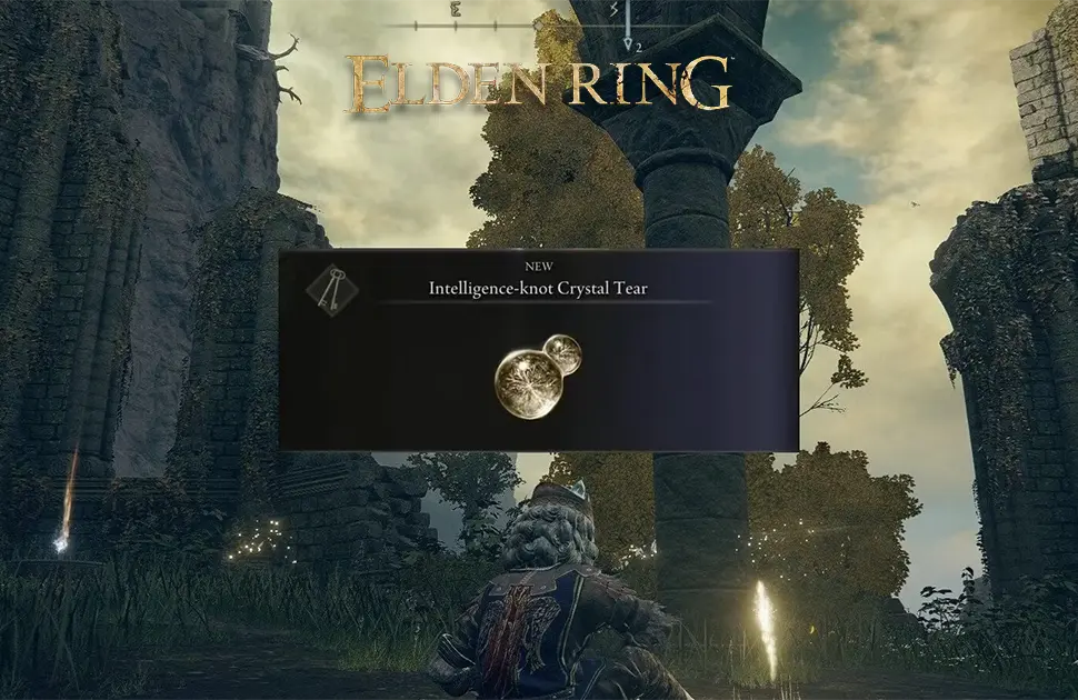 محل Intelligence-knot Crystal Tear در Elden Ring
