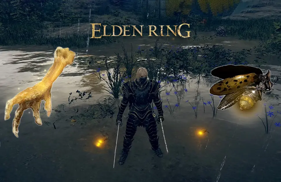 موقعیت Gold Firefly در Elden Ring