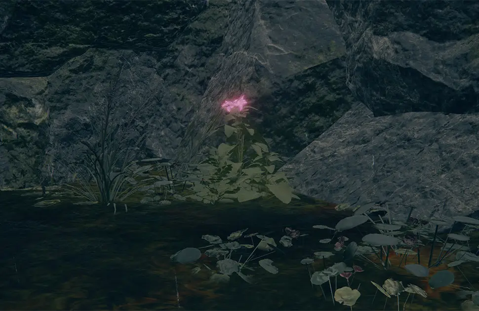 موقعیت Poisonbloom در Elden Ring