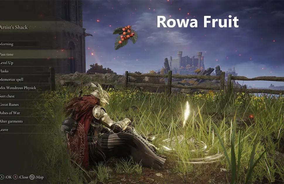 مکان Rowa Fruit در Elden Ring