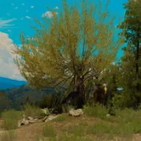 داستان هایی از Witcher 3(درختی که خونریزی می‌کند)
