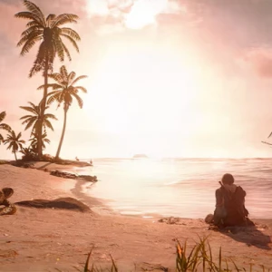 اجرای آفلاین بازی Assassin's Creed Black Flag Resynced در PC غیرممکن شد!