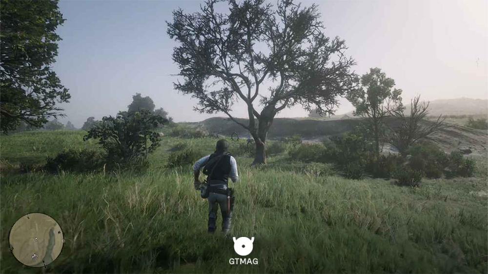 یافتن دریم کچر روی درخت خشکیده در منطقه نیو هانوور بازی RDR2