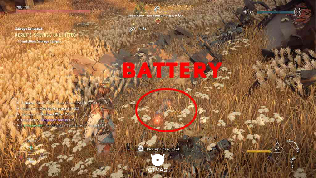 BLACK BOX شماره 4: THE PROMONTORY - تمام مکانهای Black Box در Horizon Forbidden West