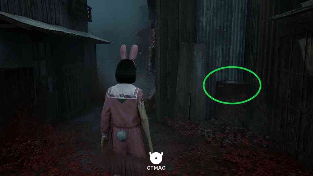 Key Item: Research Journal Photo 3 - مکان Collectibleهای New Game+ در Silent Hill f