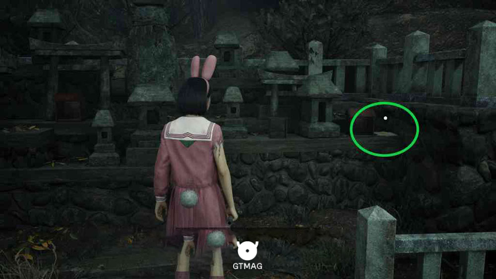 Key Item: Research Journal Photo 4 - مکان Collectibleهای New Game+ در Silent Hill f