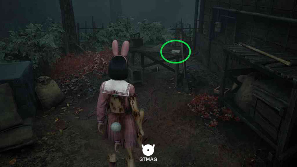Key Item: Research Journal Photo 5 - مکان Collectibleهای New Game+ در Silent Hill f