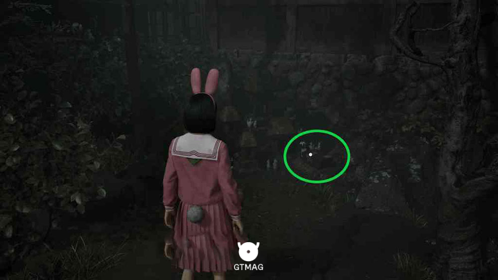 Document 20: Diary of Revenge 2 - مکان اسناد Silent Hill f
