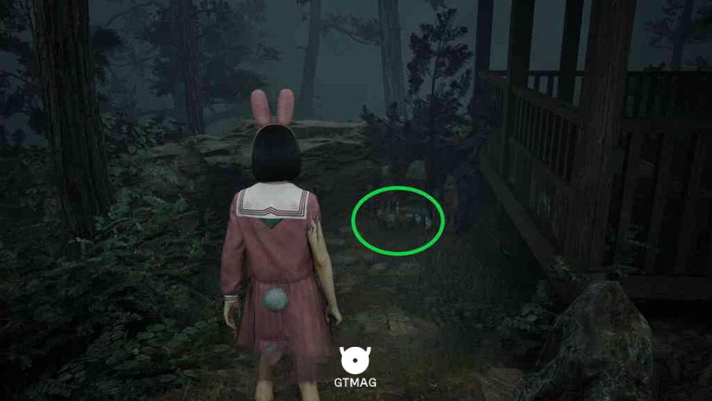 Document 25: Diary of Revenge 4 - مکان اسناد Silent Hill f
