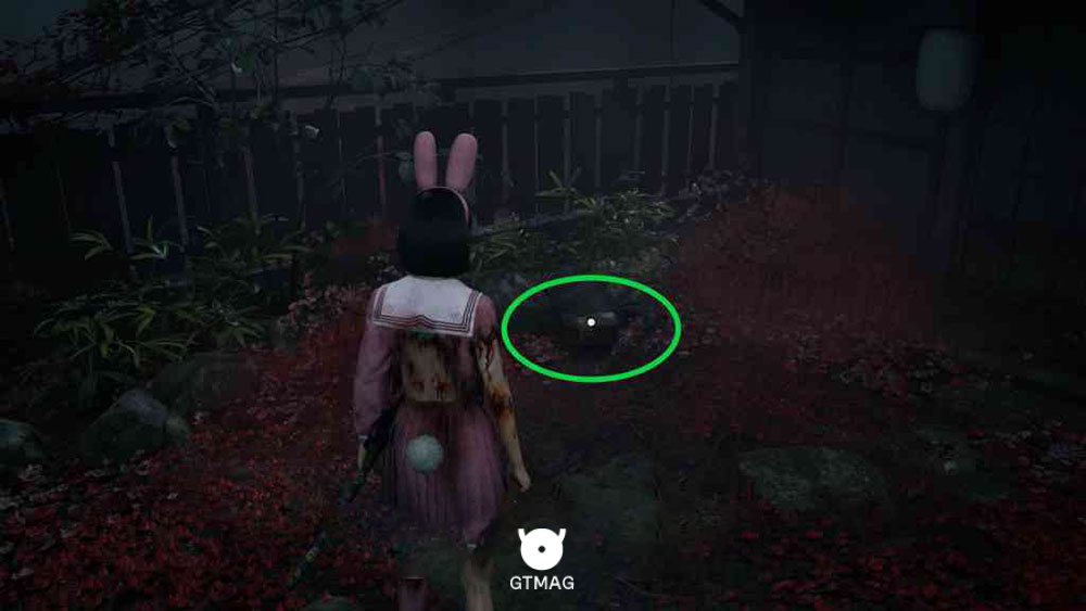 Document 27: Diary of Revenge 5 - مکان اسناد Silent Hill f