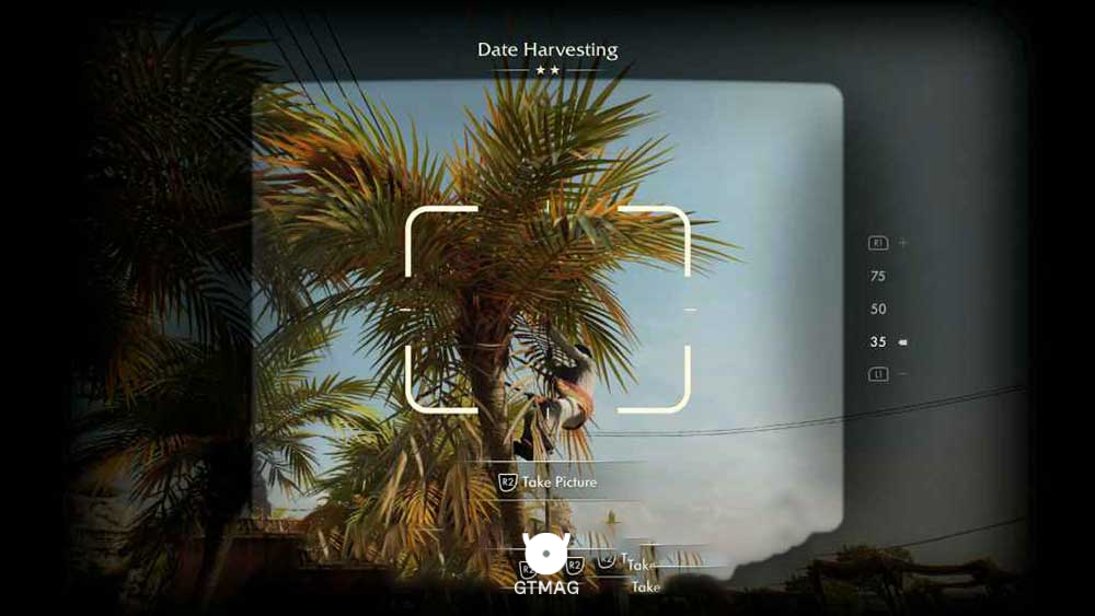 Discovery Note .33: Date Harvesting، 35 AP - مکان های Collectibleهای Gizeh در Indiana Jones and the Great Circle