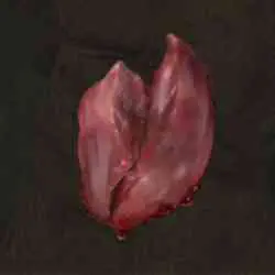 محل Beast Liver در Elden Ring