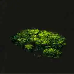 محل Cave Moss در Elden Ring