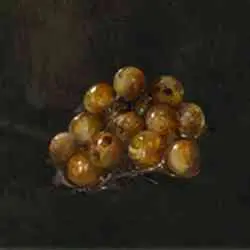 Elden Ring: موقعیت Crab Eggs