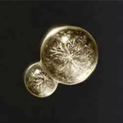 محل Dexterity-knot Crystal Tear در Elden Ring