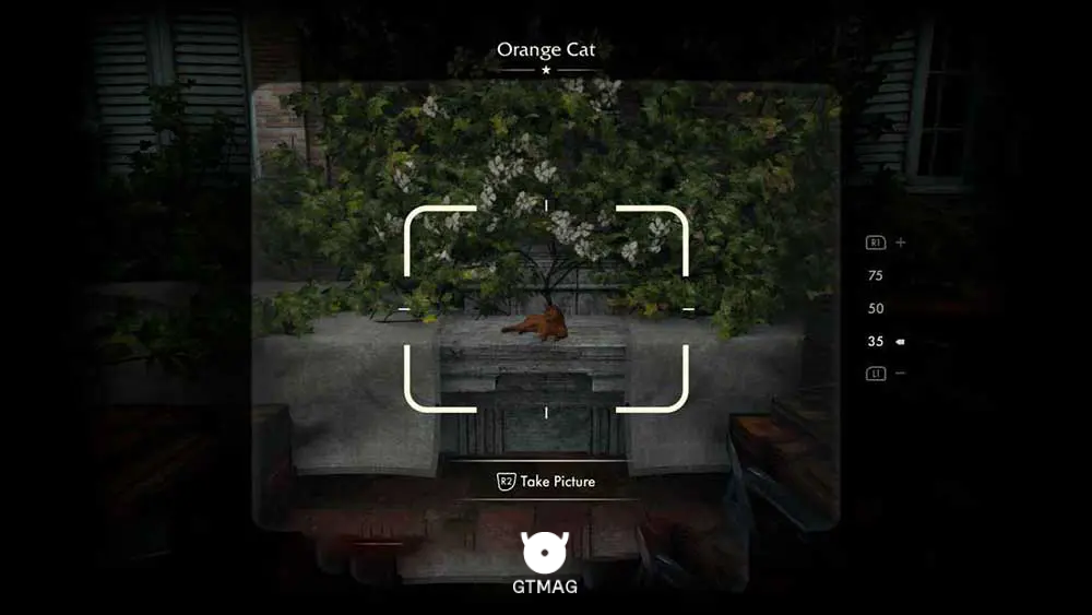 Mystery Note .19: Orange Cat - مکان های Collectibleهای Vatican در Indiana Jones and the Great Circle