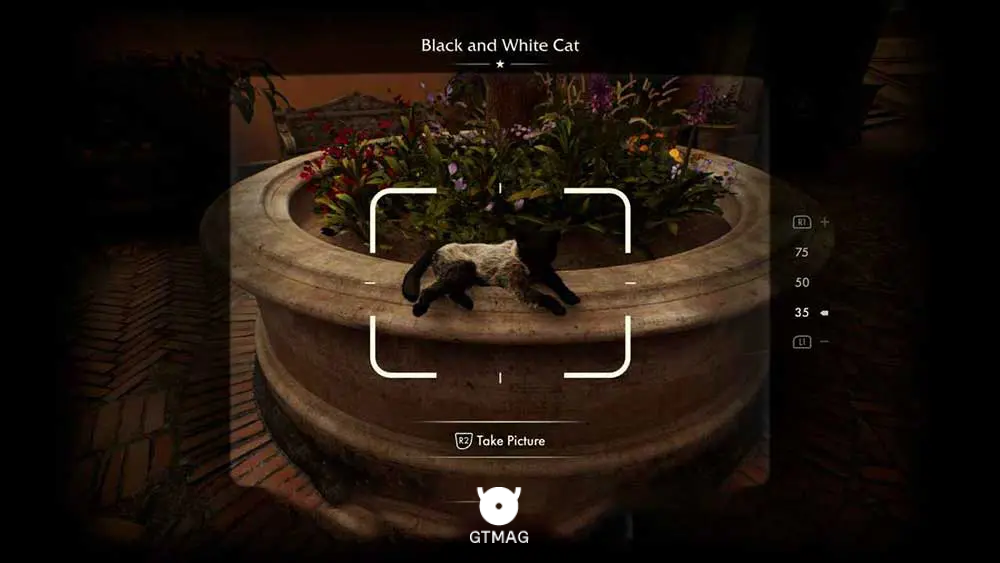 Mystery Note .21: Black and White Cat - مکان های Collectibleهای Vatican در Indiana Jones and the Great Circle