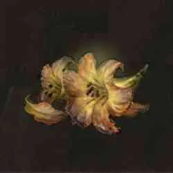 مکان Erdleaf Flower در Elden Ring
