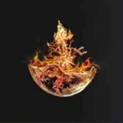 محل Flame-Shrouded Cracked Tear در Elden Ring