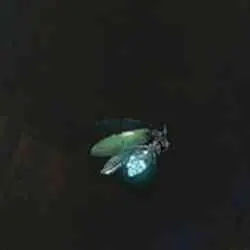 محل Glintstone Fireflies در Elden Ring