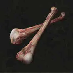 مکان Hefty Beast Bone در Elden Ring