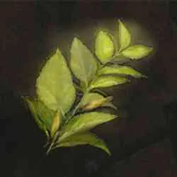 محل Herba در Elden Ring
