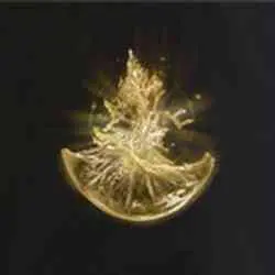مکان Holy-Shrouding Cracked Tear در Elden Ring