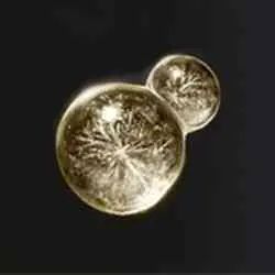 محل Intelligence-knot Crystal Tear در Elden Ring