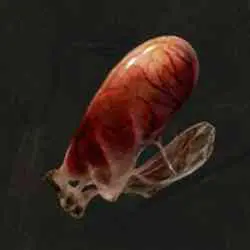 محل Land Octopus Ovary در Elden Ring