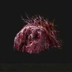محل Lump of Flesh در Elden Ring