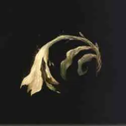 موقعیت Miquella&rsquo;s Lily در Elden Ring